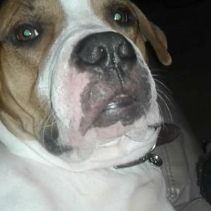 Meet your Posher, Damien